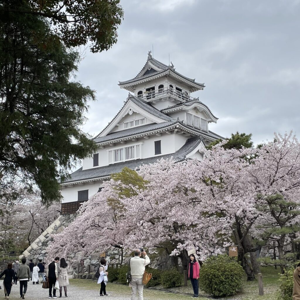 image-滋賀県と京都・大阪の桜の名所でオススメスポットのご紹介♪ | Car Shop Dearsign