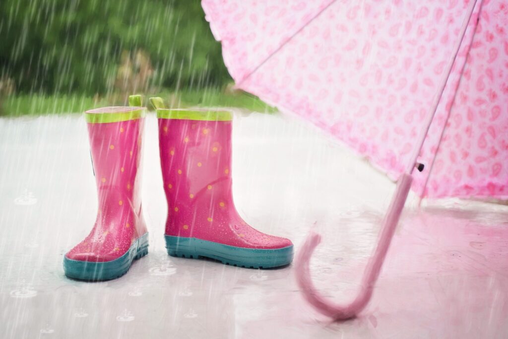 image-梅雨の季節の洗車のポイントとトラブル回避！ | Car Shop Dearsign